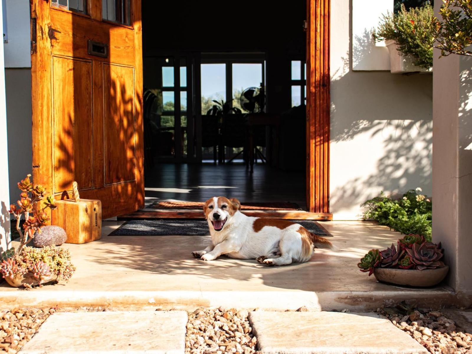 Tranquility Farmstays Winterton Extérieur photo